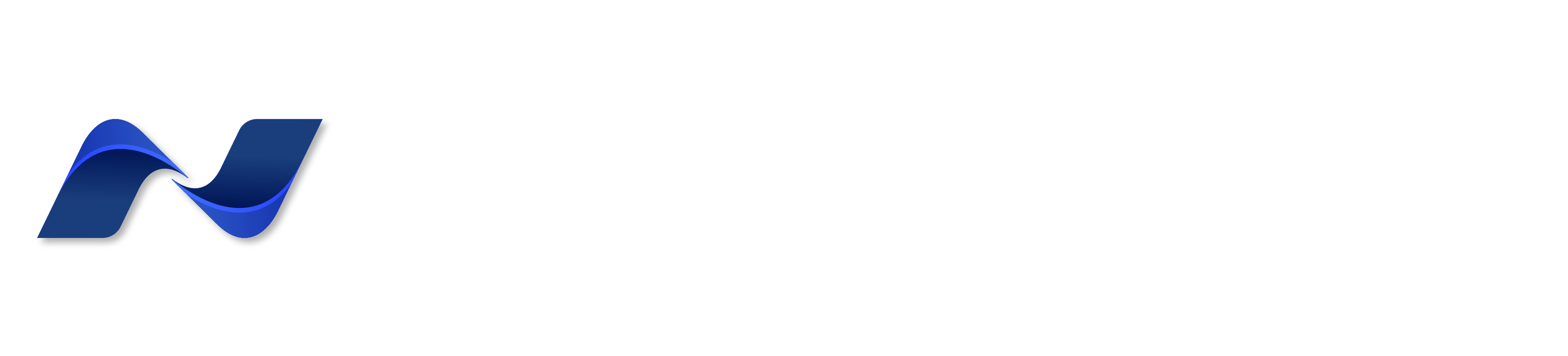 Netrunk